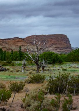 Kayalık plato manzarası, Los Altares kasabası, Chubut vilayeti, patagonya, Arjantin