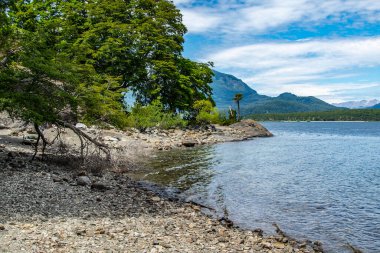 Bomboş kayalık plaj yaz manzarası, los ulusal parkı alarma geçirdi, chubut vilayeti, Arjantin,