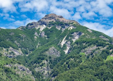 Orman çalılığı yaz manzarası, Los Angeles ulusal parkı, Chubut bölgesini, Arjantin 'i alarma geçirdi.,