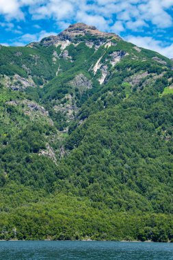 Orman dağı ve göl manzarası, Los Angeles ulusal parkı, Chubut bölgesini, Arjantin 'i alarma geçirdi.,