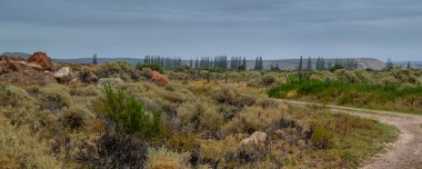 Los Altares 'de vahşi çayır manzarası, Chubut bölgesinde küçük bir yer, patagonya, Arjantin