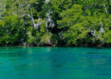 Los Angeles 'taki yüksek açılı göl ve orman manzarası ulusal parkı alarma geçirdi. Dünya mirası, Chubut vilayeti, patagonya ve Arjantin' de yer alıyor.