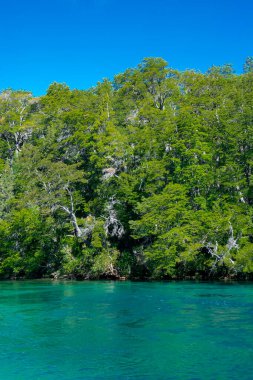 Los Angeles 'taki yüksek açılı göl ve orman manzarası ulusal parkı alarma geçirdi. Dünya mirası, Chubut vilayeti, patagonya ve Arjantin' de yer alıyor.