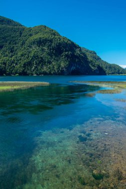 Los Angeles 'taki yüksek açılı göl ve orman manzarası ulusal parkı alarma geçirdi. Dünya mirası, Chubut vilayeti, patagonya ve Arjantin' de yer alıyor.