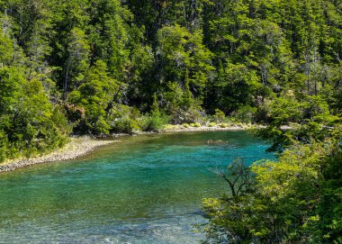 Los Angeles 'taki yüksek açılı göl ve orman manzarası ulusal parkı alarma geçirdi. Dünya mirası, Chubut vilayeti, patagonya ve Arjantin' de yer alıyor.