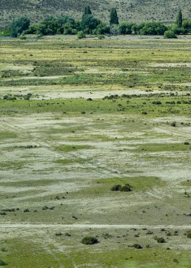 Kurak bozkır patagonya manzarasının hava fotoğrafçılığı uzay bitki örtüsü, kümes hayvanları bölümü, tombul bölge, Arjantin