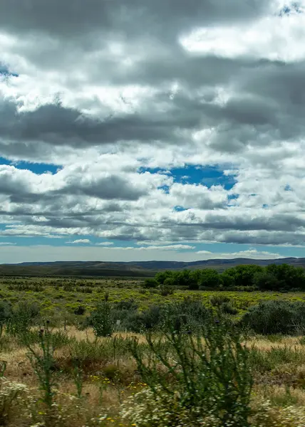 Steppe patagonya manzarası ve dağlar arka planda, Cushamen Bölümü, Chubut Bölgesi, Arjantin