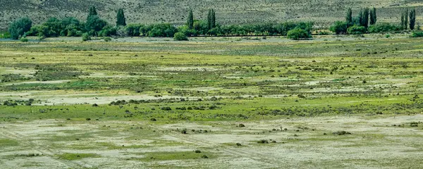 Kurak bozkır patagonya manzarasının hava fotoğrafçılığı uzay bitki örtüsü, kümes hayvanları bölümü, tombul bölge, Arjantin