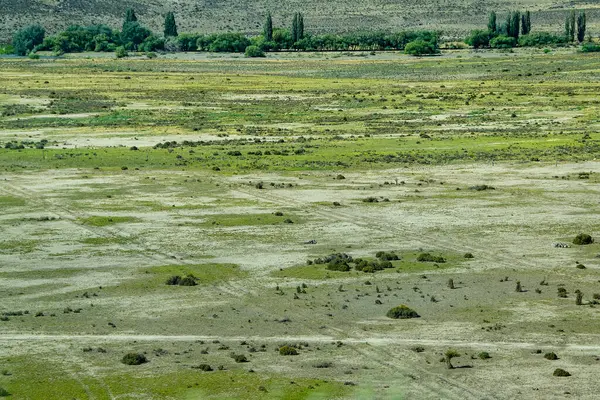 Kurak bozkır patagonya manzarasının hava fotoğrafçılığı uzay bitki örtüsü, kümes hayvanları bölümü, tombul bölge, Arjantin