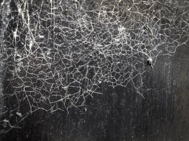 Üstte bir örümcek ağı ağı gösteren aşırı yakın plan kuru toprak. 