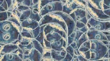 Desenli daireler motif şekilleri üst üste katman hareketleri 2d döngü canlandırmalı video