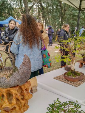 Montevideo, Uruguay: 23 Eylül 2023: Montevide City Botanik Bahçesi, Prado Mahallesi, Montevideo, Uruguay 'daki bir etkinlikte Japon kültürü ile ilgili stantlar