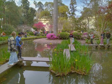 Montevideo, Uruguay: 23 Eylül 2023: Montevideo Botanik Bahçesi, Prado Mahallesi, Uruguay Baharı 'nda huzurlu Japon bahçesi