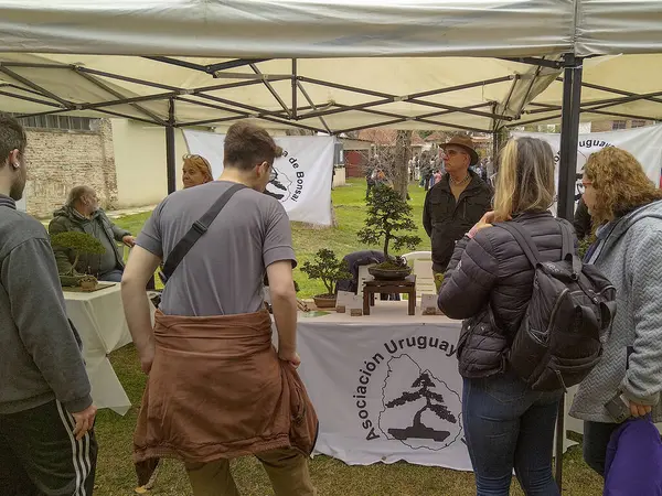 Montevideo, Uruguay: 23 Eylül 2023: Montevide City Botanik Bahçesi, Prado Mahallesi, Montevideo, Uruguay 'daki bir etkinlikte Japon kültürü ile ilgili stantlar