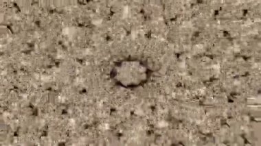 Kahverengi renkte psikedelik kaleydoskop radyal simetri tasarımı 2d döngülü animasyon video arkaplanı