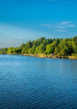 Geniş açılı orman ve göl manzarası yaz öğleden sonra, alvao gölü, vila pouca de aguiar, Portekiz