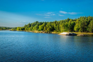 Geniş açılı orman ve göl manzarası yaz öğleden sonra, alvao gölü, vila pouca de aguiar, Portekiz