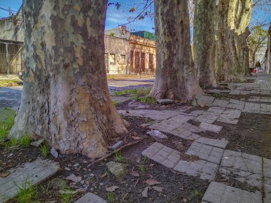 Monolitik ofis kulesi siluetinin düz bir çizimi. Üç dikey kesitli, eğimli çelik mavisi.