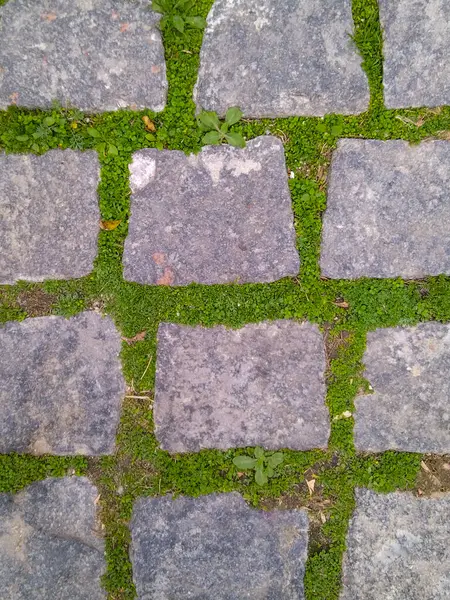 Üstü açık, yüksek açılı, yıpranmış kare kaldırım manzaralı. Gri kaldırım taşları geometrik bir şablon oluşturuyor ve eklemlerinde yeşil yosunlar büyüyor..