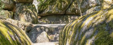 Penha Parkı 'ndaki orman ağacıyla çevrili büyük kayaların manzarası. Guimaraes, Portekiz' deki ünlü bir halk parkı.