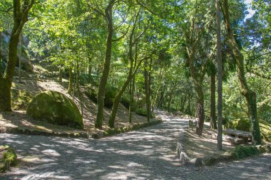 Penha Parkı 'ndaki orman ağacıyla çevrili büyük kayaların manzarası. Guimaraes, Portekiz' deki ünlü bir halk parkı.