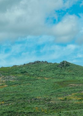 A simple and tranquil landscape shot of a green hill covered in low vegetation under a vast blue sky with soft white clouds. 