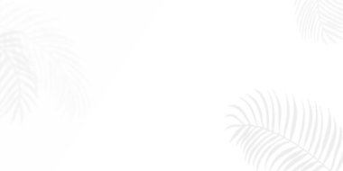 Beyaz arka planda renkli tropikal yapraklardan oluşan yaratıcı bir düzen. Kopya uzayı ile en az yaz egzotik konsepti. Sınır düzenlemesi.