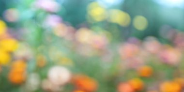 Bahar çiçeklerinin bulanık arkaplanı.