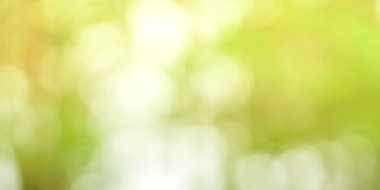 Yeşil yaprakların bulanık arkaplanı