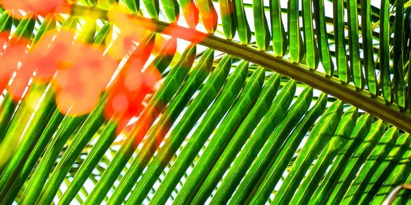 green palm leave on blue sky background, palm leaf pattern background