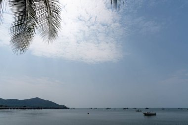 Mavi gökyüzüne karşı palmiye ağaçları, tropik kıyılarda palmiye ağaçları, hindistan cevizi ağacı, yaz arkaplanı..