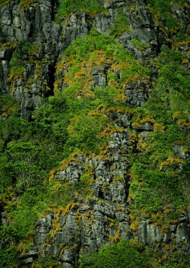 Güzel dağ manzarası. Seyahat konsepti