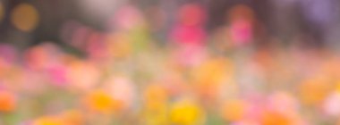 Renkli bokeh ile soyut arkaplan