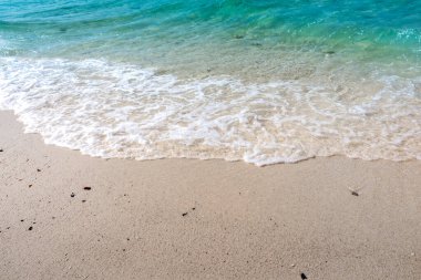 Kumsalı ve mavi denizi olan