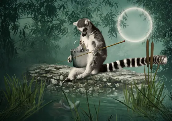 Lemur Prutem Kýblem Rybami Sedící Kameni Měsíčního Svitu Noci Jezeře Stock Obrázky