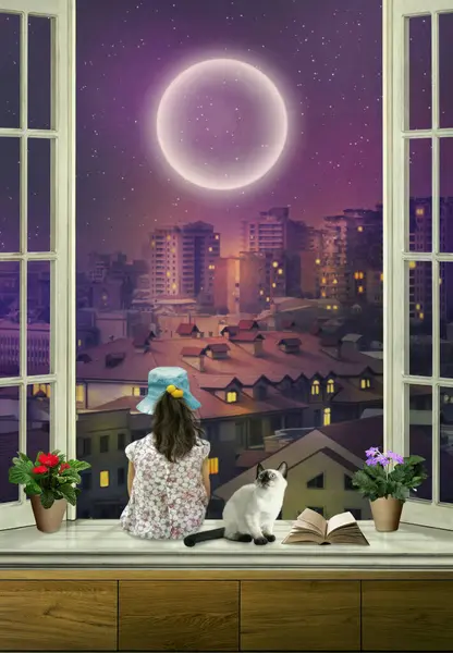 一个小女孩坐在窗台上 夜晚看着城市 旁边是一只暹罗小猫 免版税图库图片