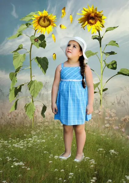 一个戴着白帽的小女孩在田野里望着向日葵和飘扬的花瓣 图库图片