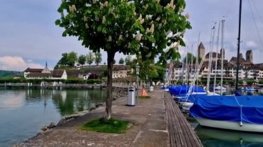 Rapperswil-Jona ortaçağ kasabası ve İsviçre 'nin Zürih Gölü' ndeki kalesi Zürih 'ten gelen popüler bir turizm merkezidir.