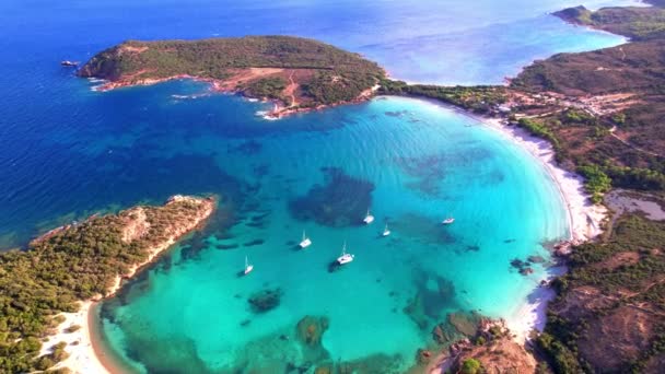 Best Beaches Corsica Island Aerial Drone Video Perfect Bay Beach — Stock Video