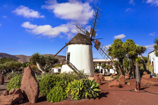Landmärken Fuerteventura Traditionell Väderkvarn Antigua Byn Kanarieöarna Spanien — Stockfoto
