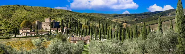 Italien Toscana Landskap Natursköna Vingårdar Toscana Utsikt Över Medeltida Slott — Stockfoto