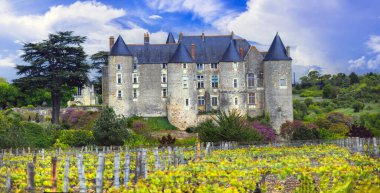 medieval French castles of Loire valley. Chateau de Luynes surrounded by scenic vineyards - heritage of France