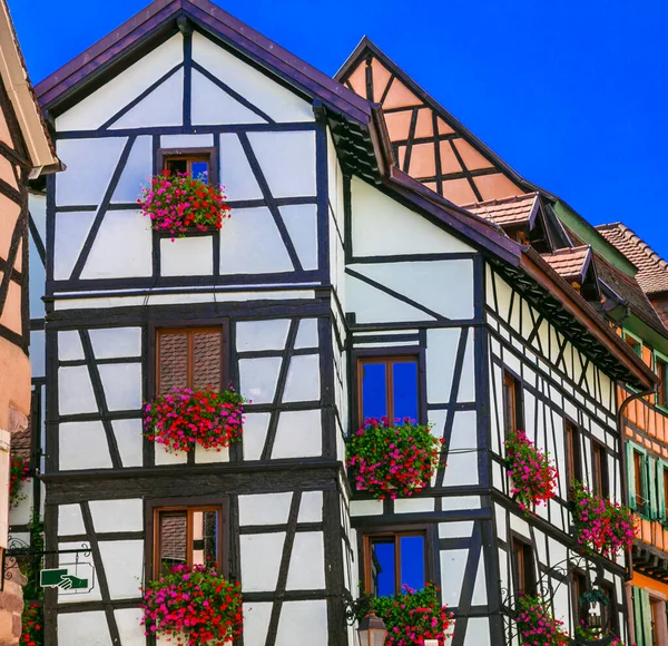 Красивый Colmar Традиционный Цветочный Красочный Город Регионе Эльзас Франция Путешествия — стоковое фото