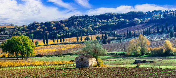 Talya Toskana Manzaralı Doğa Manzarası Sonbahar Renklerinde Üzüm Bağları Tepeleri — Stok fotoğraf