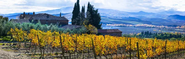 Італія Сценічний Ландшафт Природи Тоскани Панорама Сільської Місцевості Пагорбами Виноградників — стокове фото