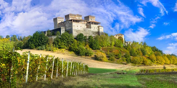 Scénická Vinice Středověké Hrady Itálie Impozantní Torrechiara Poblíž Parmy Emilia — Stock fotografie