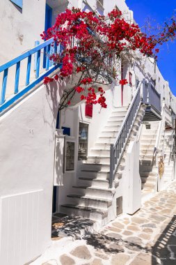 Orijinal geleneksel Yunanistan. Mykonos Adası. Eski Chora köyünün renkli çiçekli sokakları. Kiklad