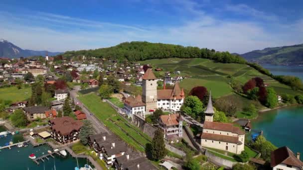 Suíça Viaja Lago Cênico Thun Aldeia Spiez Drone Aéreo Imagens — Vídeo de Stock