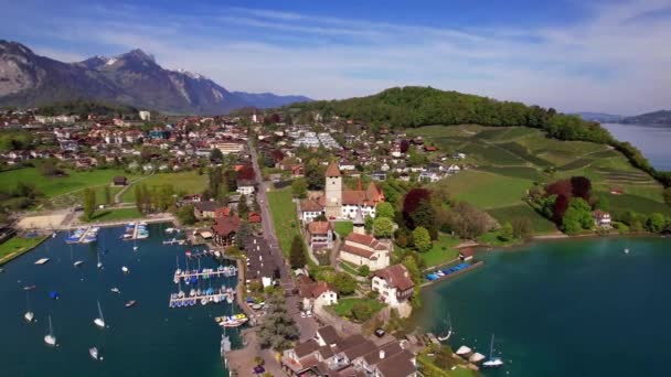 Sviçre Seyahati Manzaralı Göl Thun Spiez Köyü Nün Insansız Hava — Stok video