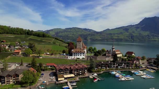 Швейцарія Подорожує Сценічне Озеро Тун Село Шпіц Кадри Середньовічним Замком — стокове відео
